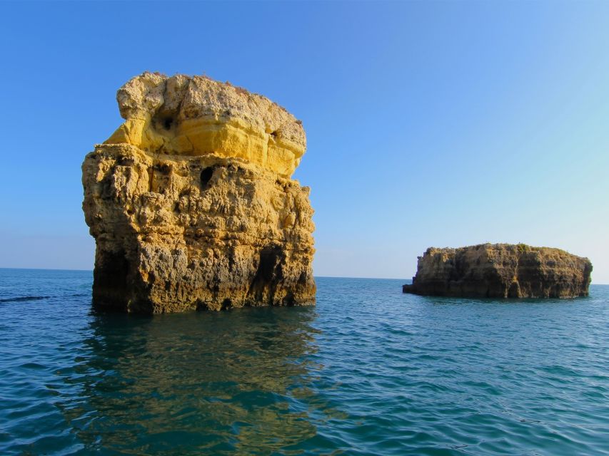 Dolphin Safari and Cave Tour in Vilamoura - Who should book this tour, and who might feel the mismatch