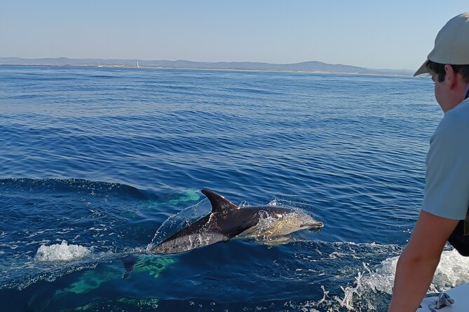 Dolphin Watching + 2 Islands Tour - From Faro - Key highlights worth your attention