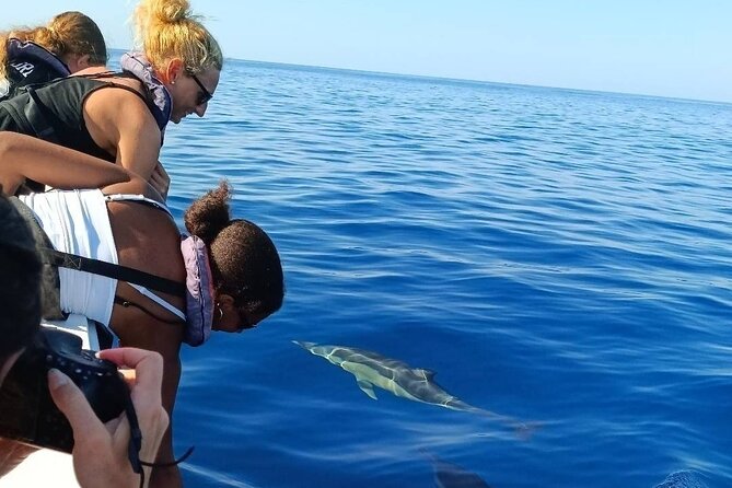 Dolphin Watching + 2 Islands Tour - From Faro - Weather, tides, and the reality check