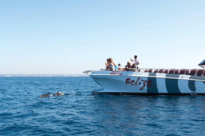 Dolphin Watching and Cave Boat Cruise from Albufeira - Key highlights worth knowing