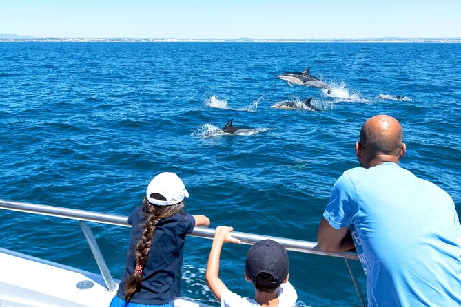 Dolphin Watching and Cave Boat Cruise from Albufeira - What the 2.5 hours really feels like on the water