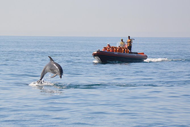 Dolphin Watching and Cave Tour from Vilamoura - Key Highlights Worth Knowing Before You Go