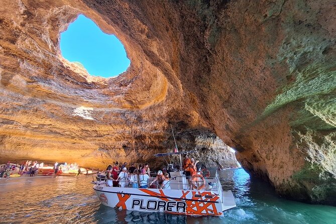 Dolphin Watching and Caves Cruise - Key Things to Know Before You Go