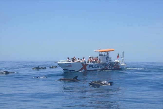 Dolphin Watching and Caves Cruise - Dolphin Watching and Caves Cruise: What You’re Really Paying For