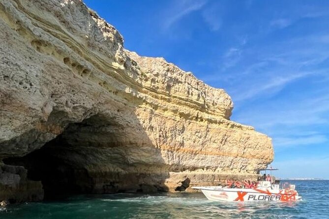 Dolphin Watching and Caves Cruise - Dolphin Watching on Wild Time: How to Make the Most of It