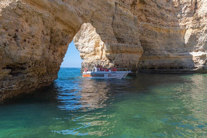 Dolphin Watching and Caves Cruise - Who this cruise suits best