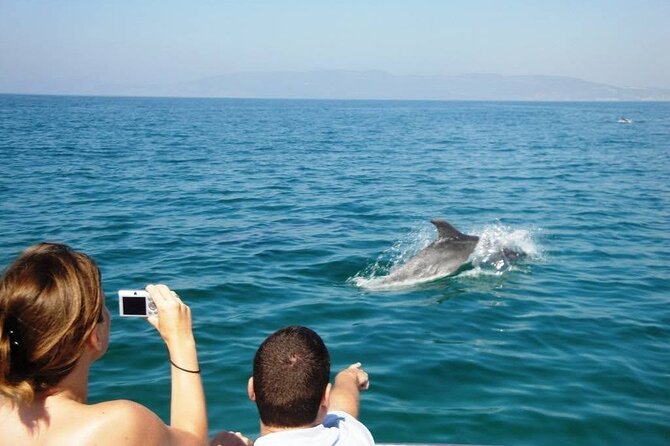 Dolphin Watching from Faro - Dolphin watching in the Atlantic: how the skipper’s job affects your odds