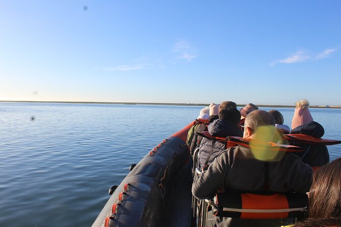 Dolphin Watching from Faro - Weather, seas, and why they can change everything