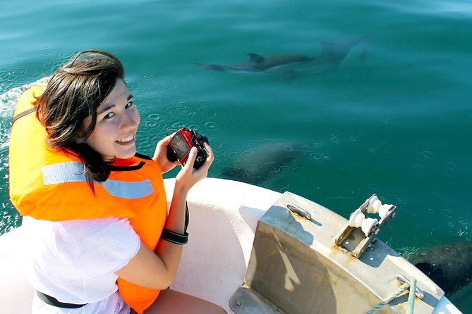 Dolphin Watching from Fuzeta - Key Things You’ll Want to Know Before You Go