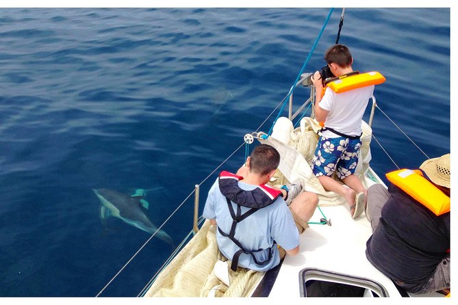 Dolphin Watching from Fuzeta - Food Reality Check: Plan for Lunch or Snacks