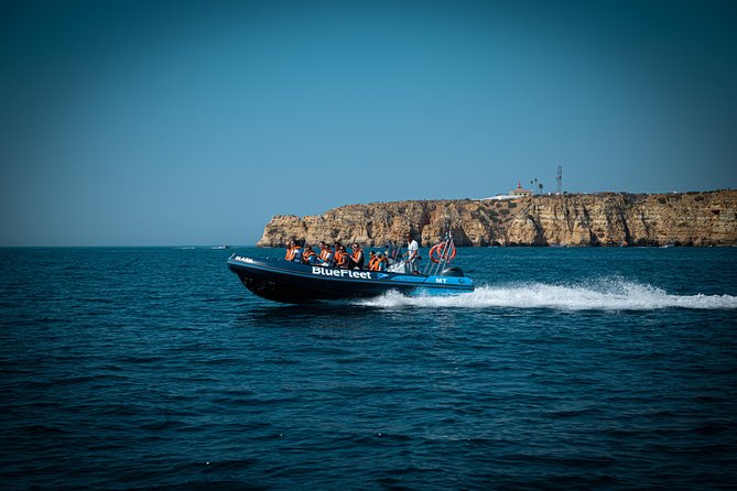 Dolphin Watching from Lagos with Marine Biologists - Should you book BlueFleet dolphin watching from Lagos?