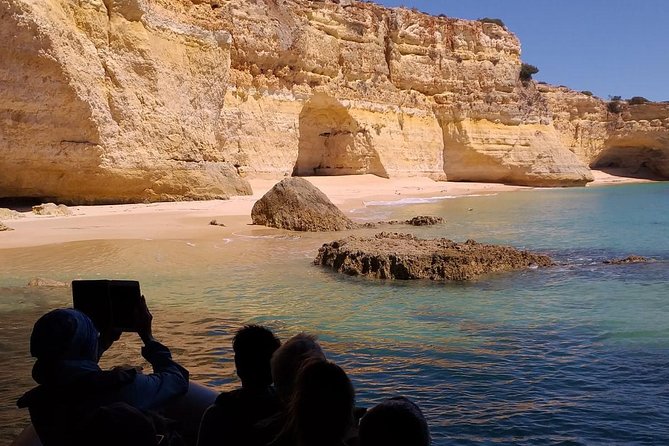 Dolphins Search and Benagil Caves from Albufeira - The swimming stop: when it happens and how to be ready