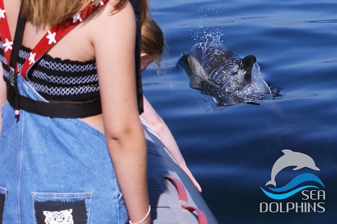 Dolphins Watching - Dolphin Watching in Portimão: What the 95% Chance Really Feels Like