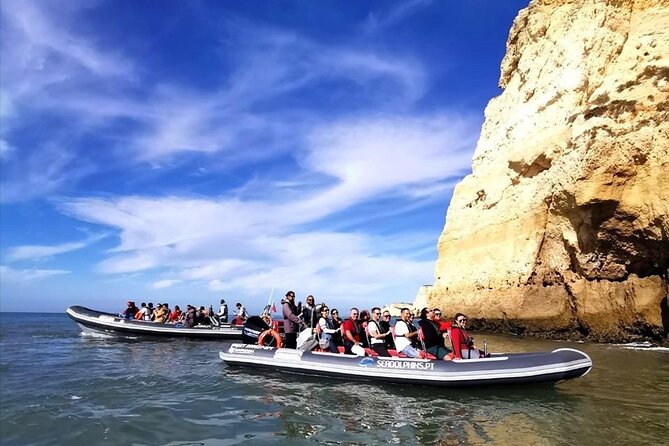 Dolphins Watching - On the Water: What a Rigid Dolphin-Watching Boat Is Like