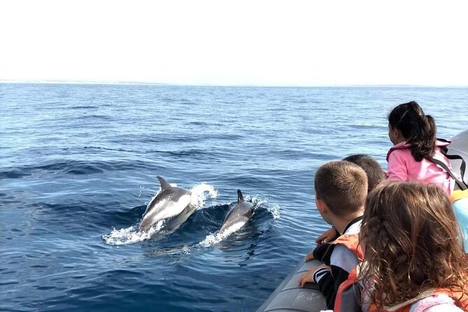 Dolphins Watching - Weather and Sea Conditions: The Main Thing You Can’t Control