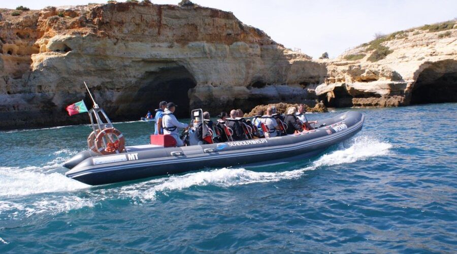 Dolphins Watching - Portimão - Praia da Rocha dolphin watching, what close encounters feel like