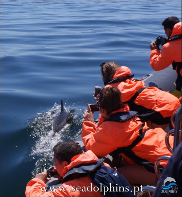Dolphins Watching - Portimão - Portimão long-tail boat ride, the “second act” you will probably enjoy