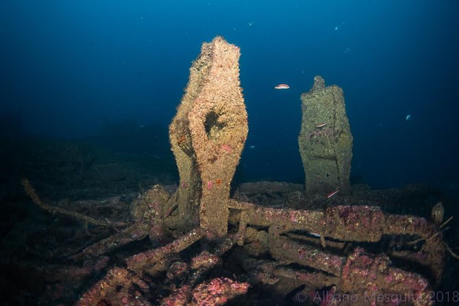 Double Dive the Fantastic Ocean Revival Park - Key things to know before you go