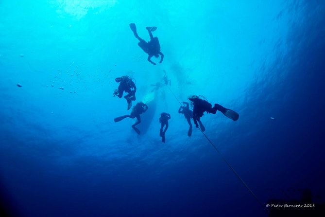Double Dive the Fantastic Ocean Revival Park - Group size of six: why this pace feels better on wreck days