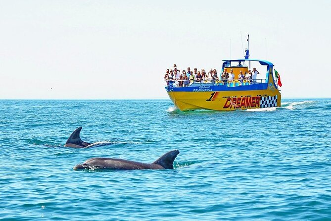 Dreamer Cave and Dolphins Boat Tour Ticket Albufeira - Small-group energy plus a hands-on “see it now” schedule