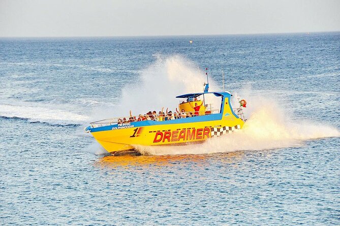 Dreamer Cave and Dolphins Boat Tour Ticket Albufeira - Price and value: what $42.14 really covers