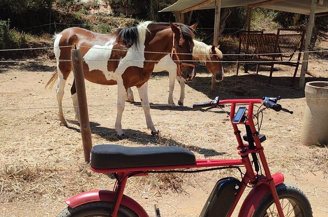 E-Bike Tour in Albufeira - Ninho das Andorinhas Caves and Quinta da Saudade Horses