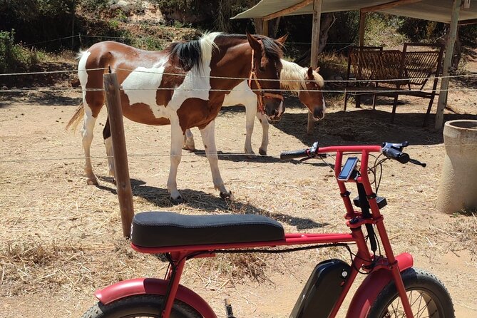 E-Bike Tour in Albufeira - Price and Value: What $54.01 Buys You