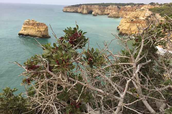 E-Bike Tour: Sete Vales Suspensos Trail (Marinha and Benagil) - The ride experience: what “12 km” really means on this route
