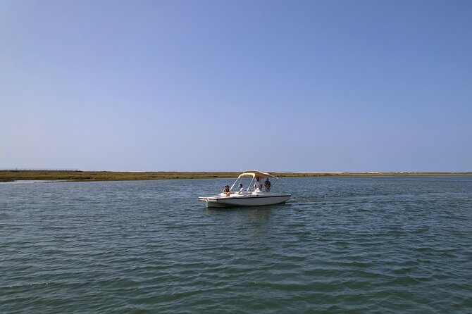 Eco Boat Tour in the Ria Formosa Lagoon from Faro - Key points I’d plan around