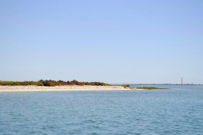 Eco Boat Tour in the Ria Formosa Lagoon from Faro - Value for money: is $30 for one hour worth it?