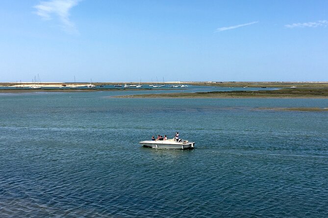 Eco Boat Tour in the Ria Formosa Lagoon from Faro - Who this eco boat tour is best for