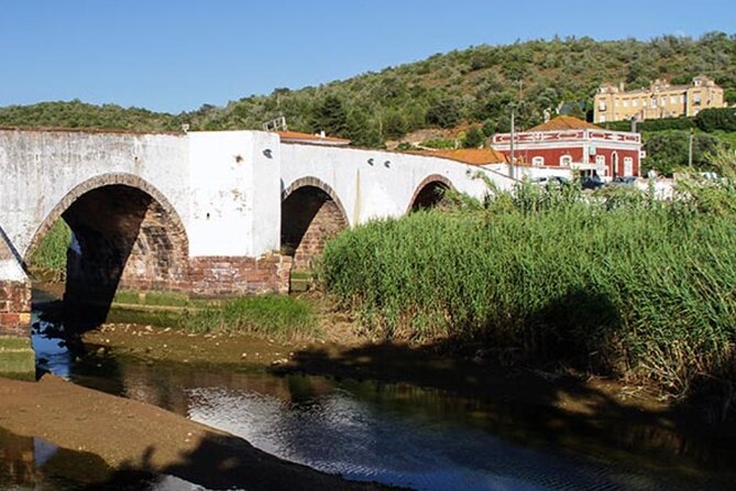 Exclusive Lagos to Silves Private Boat Tour Experience - Ponta da Piedade sea caves: the coast in close-up