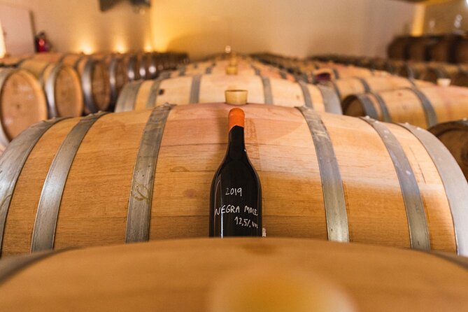 Exclusive Private Boat to Vineyard with Wine Tasting (from Lagos) - ARVAD Winery tasting: what you get and why it’s worth it