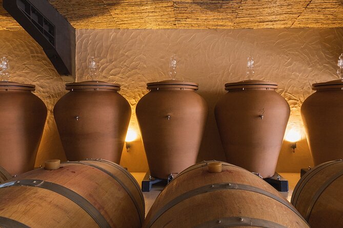 Exclusive Private Boat to Vineyard with Wine Tasting (from Lagos) - Tasting menu choices: Superior vs Premium, and what changes