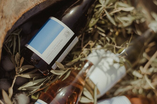 Experience Wine Break in Portugal - Key Things That Make This Wine Break Worth Your Hour