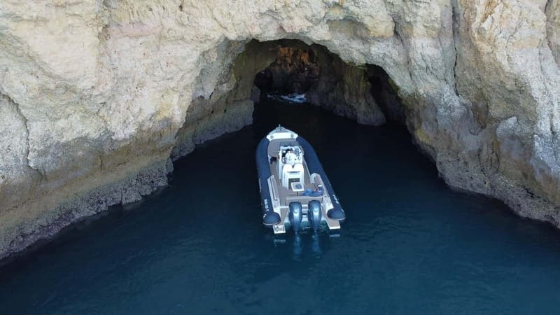 Explore Benagil, Ponta da Piedade and Dolphins in Algarve - Dolphins in the Atlantic: What You’re Really Buying with This Stop