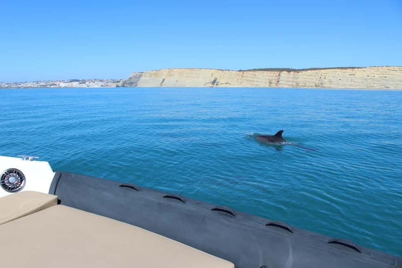 Explore Benagil, Ponta da Piedade and Dolphins in Algarve - Onboard Comfort That Actually Improves the Experience