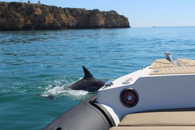 Explore Benagil, Ponta da Piedade and Dolphins in Algarve - Meeting Bluefleet in Lagos: What to Know Before You Go
