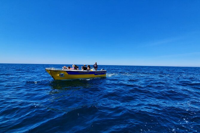 Express Tour - Benagil Cave - Comfort, timing, and the reality of sea conditions