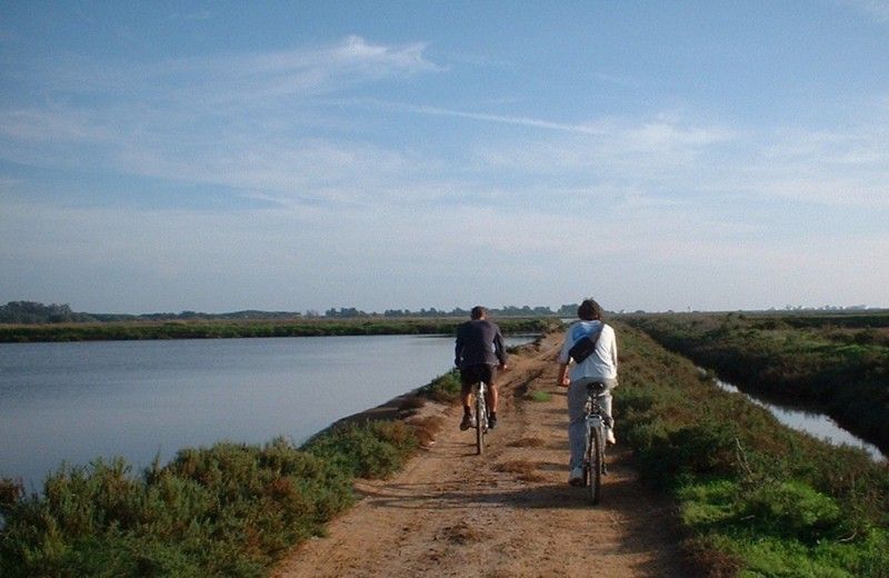 Faro Bike Tour through the Beautiful Ria Formosa - Key Highlights Worth Planning For