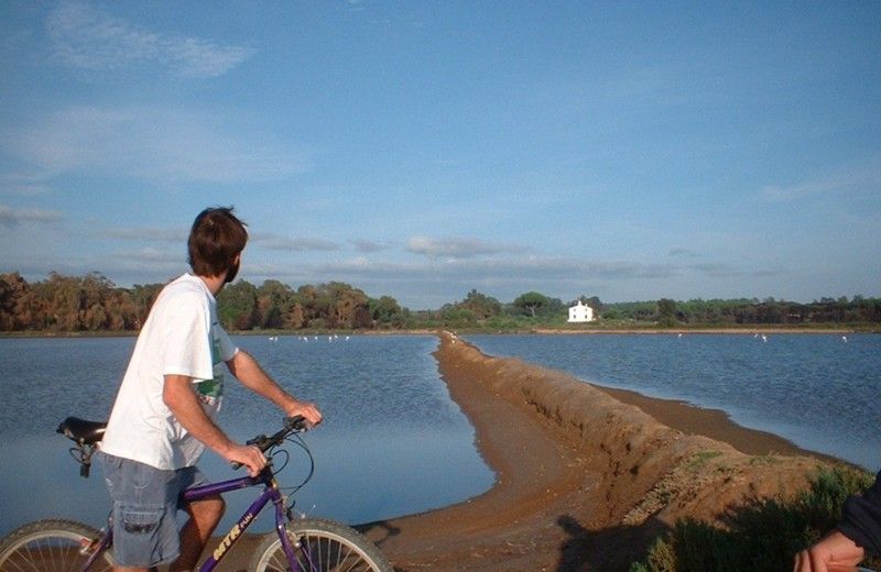 Faro Bike Tour through the Beautiful Ria Formosa - Why the Ria Formosa Feels Made for a Bike Ride