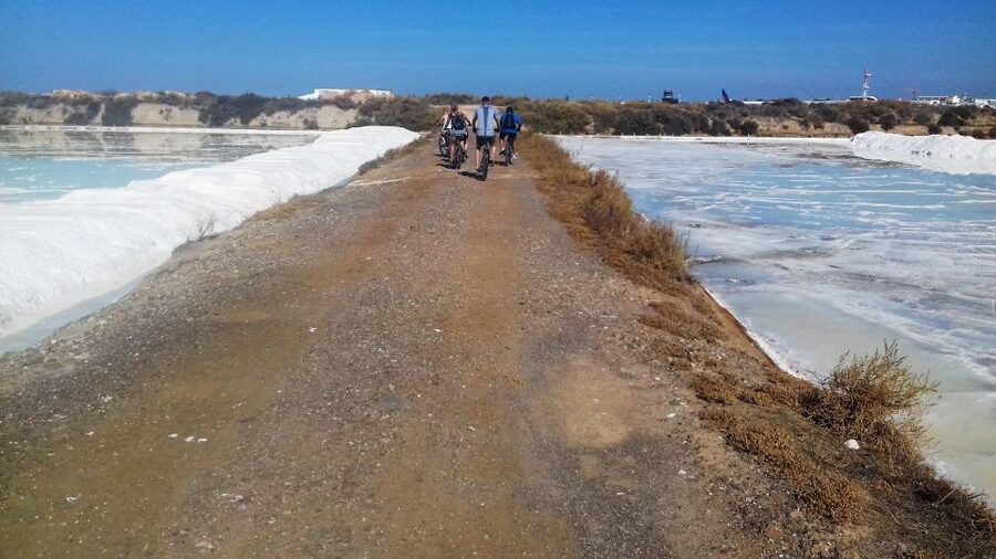 Faro Bike Tour through the Beautiful Ria Formosa - Marshlands Pedaling: Channels, Small Islets, and How Water Runs the Show