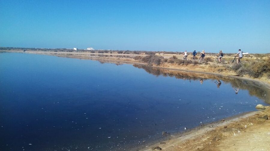 Faro Bike Tour through the Beautiful Ria Formosa - Praia de Faro: The Recharge Stop You’ll Appreciate