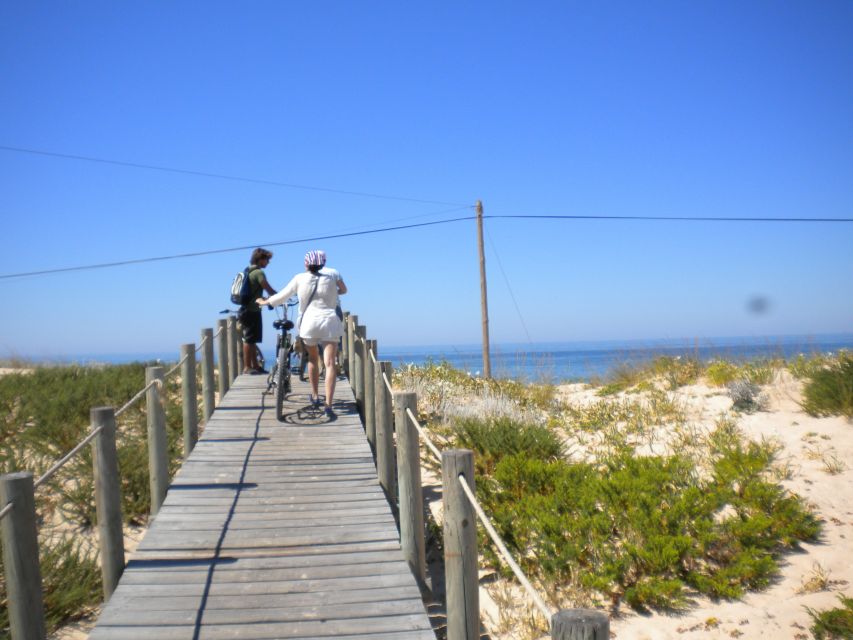Faro Bike Tour through the Beautiful Ria Formosa - Biking Reality: What the Terrain Means for Your Comfort