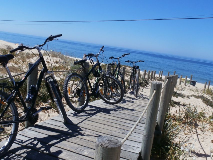 Faro Bike Tour through the Beautiful Ria Formosa - Meeting Point in Faro: How to Start Without Stress