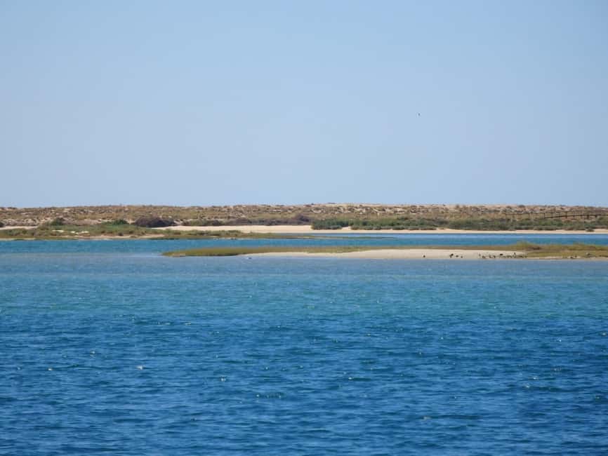 Faro: Boat Tour to Desert Island - First pass around the lagoon: scenic views plus birdwatching groundwork