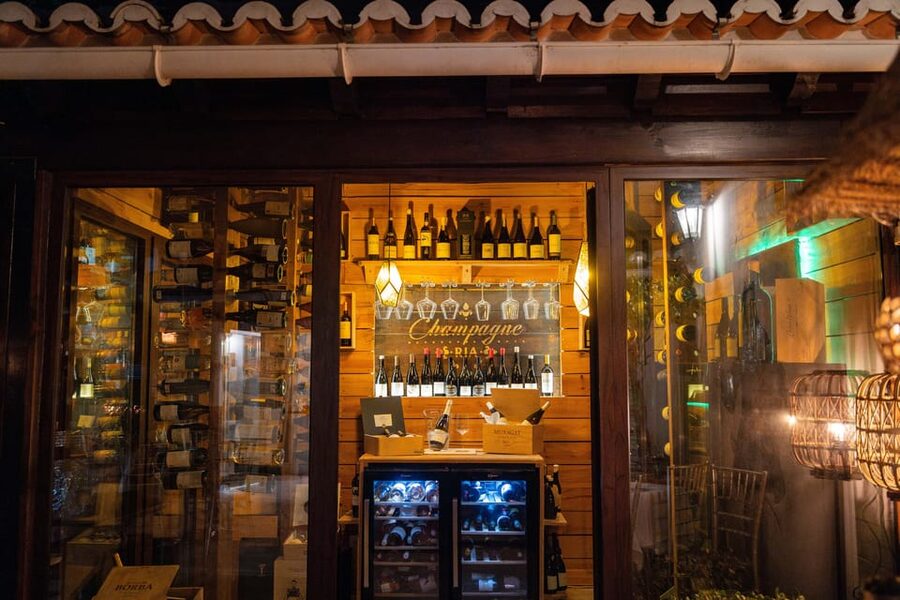 Faro: City Segway Tour with Wine Tasting Experience - Who this Faro Segway and wine combo is best for