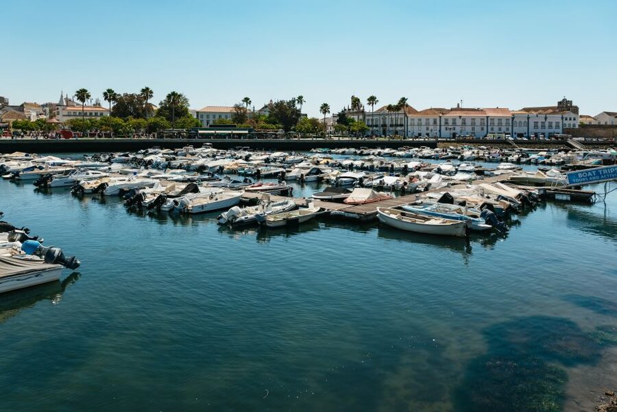 Faro: Deserta Island and Farol Island Catamaran Boat Trip - From Faro Marina to the Ria Formosa channels: the cruise vibe