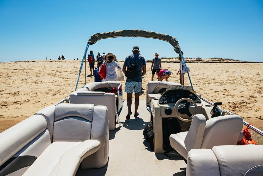 Faro: Deserta Island and Farol Island Catamaran Boat Trip - The return cruise: more birdlife, more sea surprises