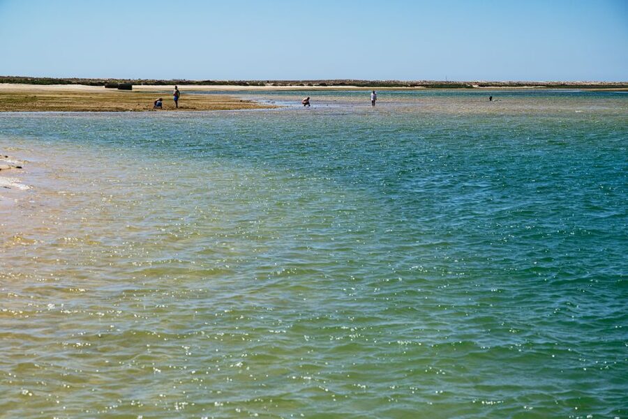 Faro: Deserta Island and Farol Island Catamaran Boat Trip - Who should book this, and who might want a longer option